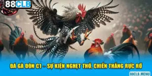 Đá Gà 88CLB - Mãn Nhãn Với Các Trận Chọi Kê Siêu Kịch Tính - GARICO.INFO
