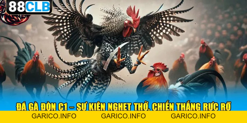 Đá Gà Đòn C1 - Giải Đấu Chọi Kê Đẳng Cấp Vạn Người Mê - GARICO.INFO