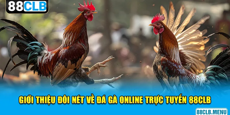 Đá Gà Online Trực Tuyến 88CLB - Đừng Bỏ Lỡ Những Trận Đấu Hay - GARICO.INFO
