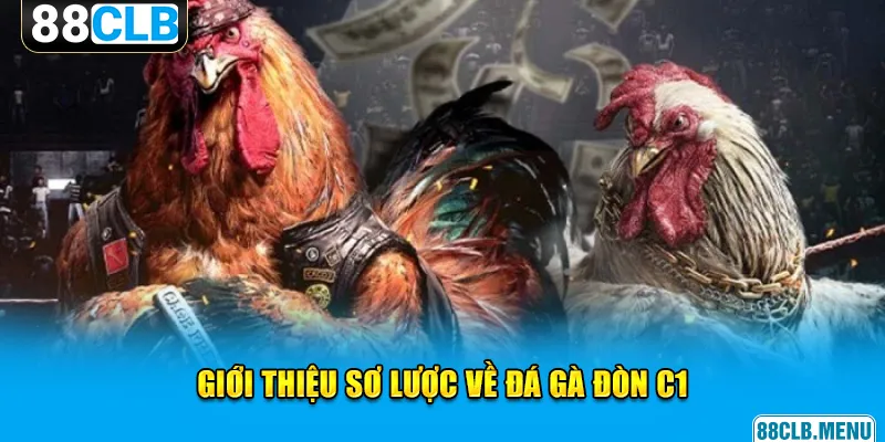 Đá Gà Đòn C1 - Giải Đấu Chọi Kê Đẳng Cấp Vạn Người Mê - GARICO.INFO