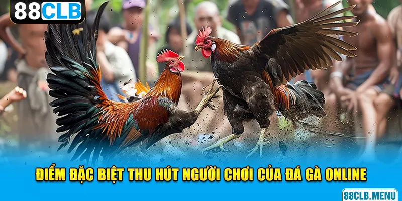 Đá Gà Online Trực Tuyến 88CLB - Đừng Bỏ Lỡ Những Trận Đấu Hay - GARICO.INFO