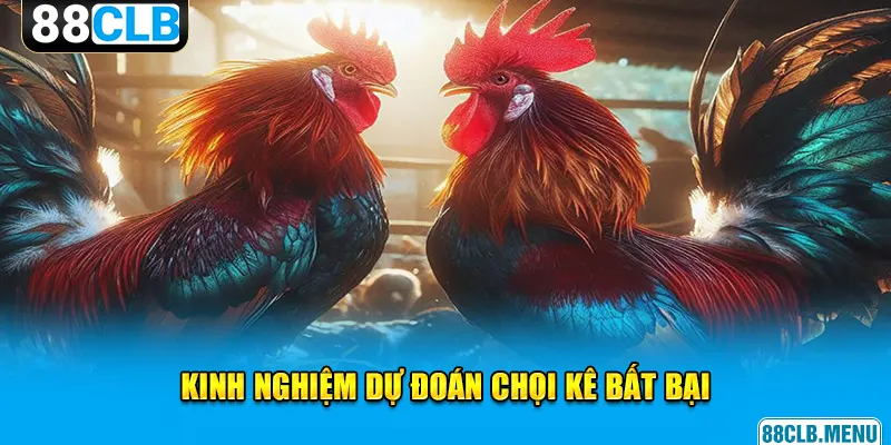 Đá Gà Đòn C1 - Giải Đấu Chọi Kê Đẳng Cấp Vạn Người Mê - GARICO.INFO