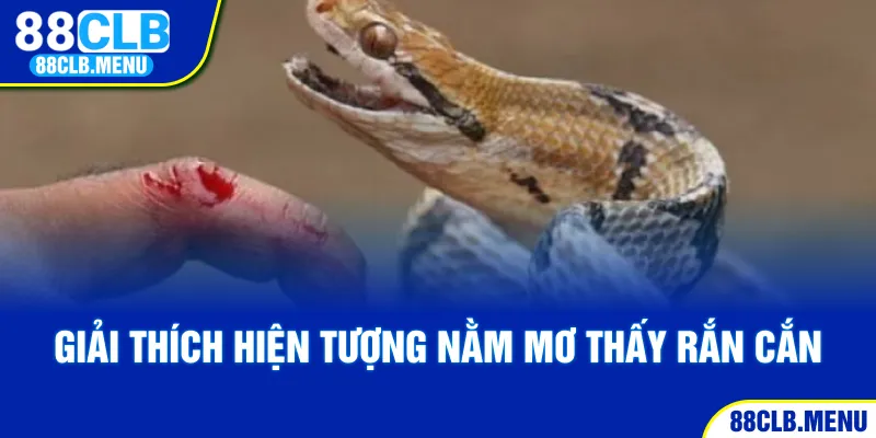 Nằm Mơ Thấy Rắn Cắn - Ý NGhĩa Và Những Con Số May Mắn - GARICO.INFO