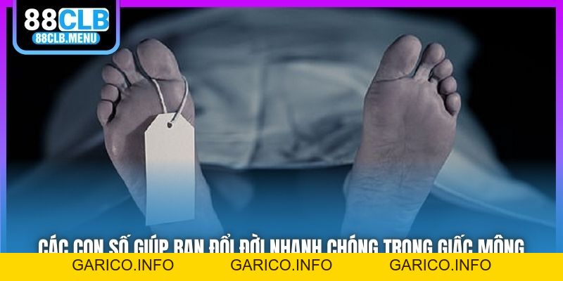 Nằm Mơ Thấy Xác Chết Điềm Tốt Hay Xấu? Đánh Số Nào May Mắn? - GARICO.INFO