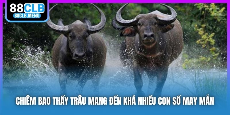 Giải Mã Nằm Mơ Thấy Trâu Và Con Số May Mắn Gắn Liền - GARICO.INFO