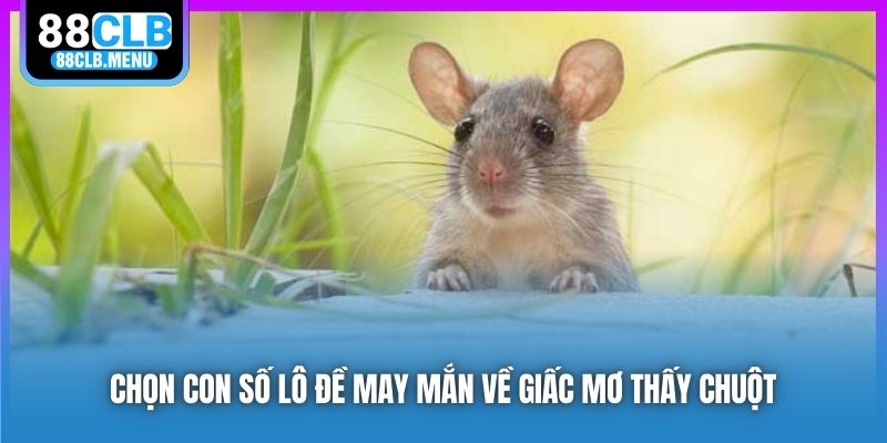 Phân Tích Nằm Mơ Thấy Chuột Và Những Con Số May Mắn - GARICO.INFO