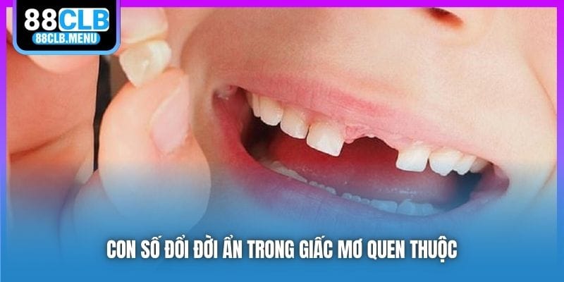 Nằm Mơ Gãy Răng Mang Điềm Báo Gì? Nên Đánh Đề Con Nào? - GARICO.INFO