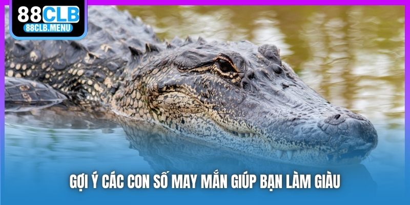 Nằm Mơ Thấy Cá Sấu Ám Chỉ Điều Gì? Đánh Số Nào Đổi Đời? - GARICO.INFO