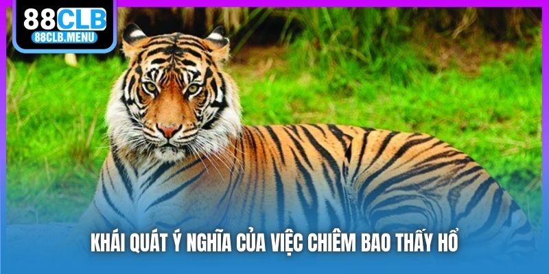 Ý Nghĩa Giấc Chiêm Bao Nằm Mơ Thấy Hổ? Chốt Số May Mắn Gì? - GARICO.INFO