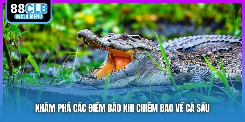 Nằm Mơ Thấy Cá Sấu Ám Chỉ Điều Gì? Đánh Số Nào Đổi Đời? - GARICO.INFO