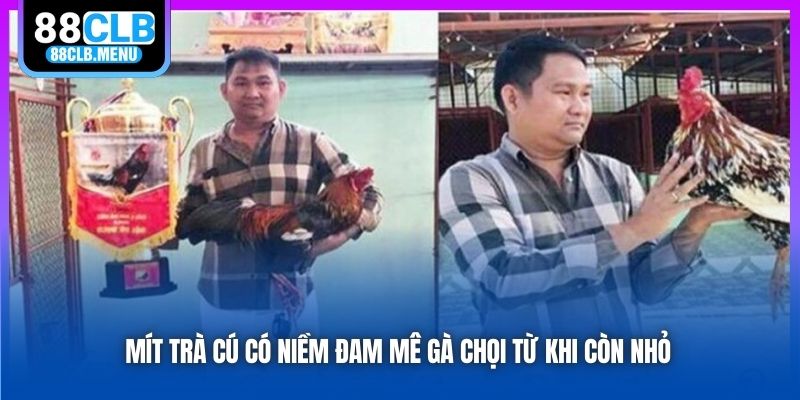 Mít Trà Cú - Nhân Vật Khét Tiếng Trong Giới Đá Gà Việt Nam - GARICO.INFO