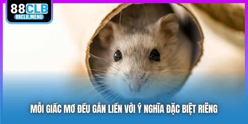 Phân Tích Nằm Mơ Thấy Chuột Và Những Con Số May Mắn - GARICO.INFO