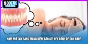Xổ Số 88CLB - Trải Nghiệm Sân Chơi Lô Đề Hiện Đại, Uy Tín 2026 - GARICO.INFO
