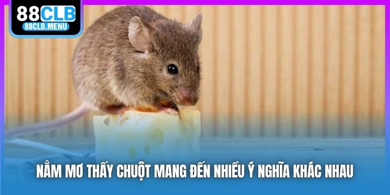 Phân Tích Nằm Mơ Thấy Chuột Và Những Con Số May Mắn - GARICO.INFO