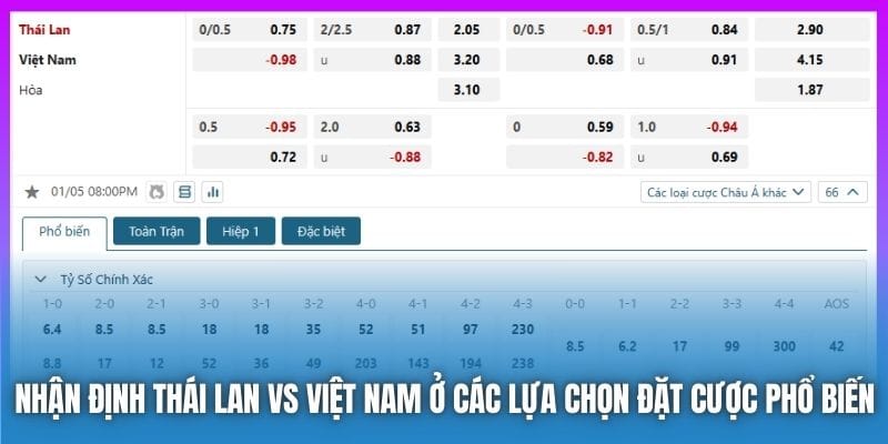 Nhận Định Thái Lan Vs Việt Nam - Lên Ngôi Tại Đất Khách - GARICO.INFO