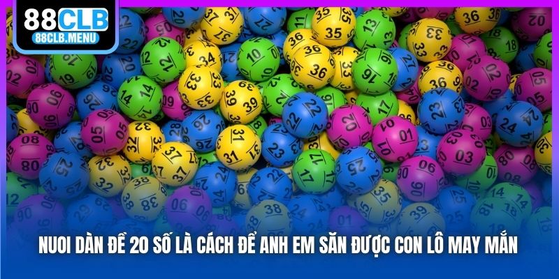 Hướng Dẫn Nuôi Dàn Đề 20 Số Bất Bại Cho Các Lô Thủ - GARICO.INFO