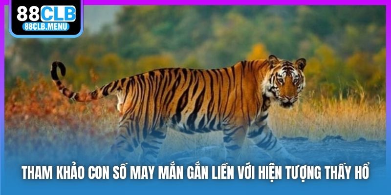 Ý Nghĩa Giấc Chiêm Bao Nằm Mơ Thấy Hổ? Chốt Số May Mắn Gì? - GARICO.INFO