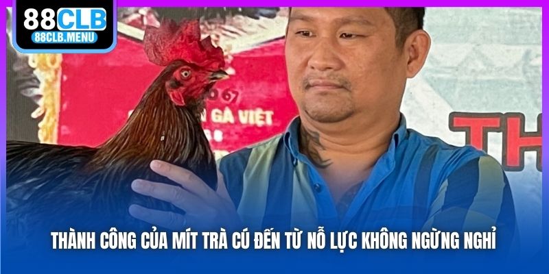 Mít Trà Cú - Nhân Vật Khét Tiếng Trong Giới Đá Gà Việt Nam - GARICO.INFO