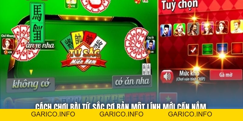 Cách Chơi Bài Tứ Sắc Cơ Bản Một Lính Mới Cần Nắm - GARICO.INFO