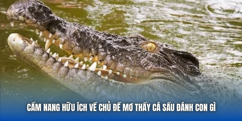 Mơ Thấy Cá Sấu Đánh Con Gì? Cùng Chuyên Gia Giải Mã Chi Tiết - GARICO.INFO