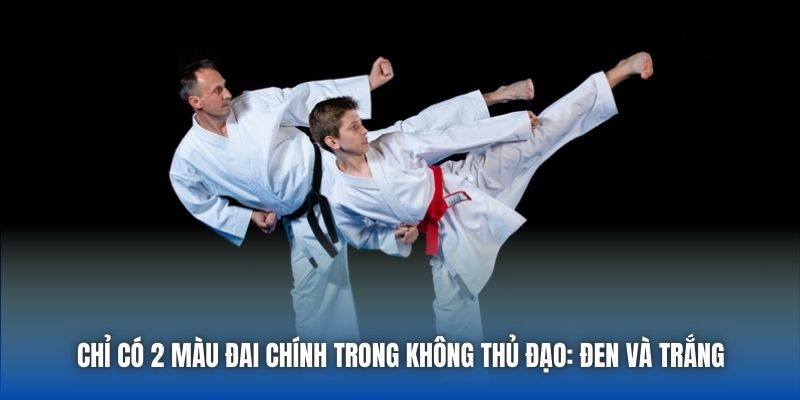 Karatedo Và Những Bí Mật Về Môn Võ Có Thể Bạn Chưa Biết - GARICO.INFO
