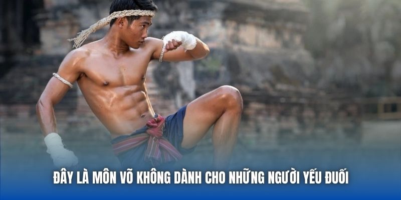 Muay Thái - Môn Thể Thao Không Dành Cho Kẻ Yếu - GARICO.INFO