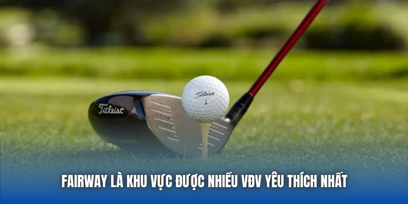 Luật Chơi Golf Chi Tiết Dành Cho Người Mới Nhập Môn - GARICO.INFO