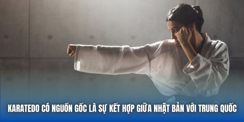 Karatedo Và Những Bí Mật Về Môn Võ Có Thể Bạn Chưa Biết - GARICO.INFO