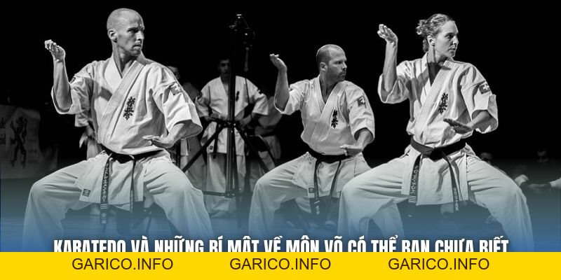 Karatedo Và Những Bí Mật Về Môn Võ Có Thể Bạn Chưa Biết - GARICO.INFO