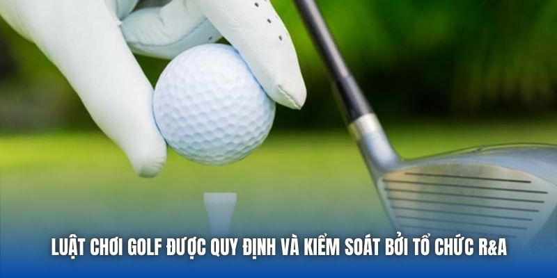 Luật Chơi Golf Chi Tiết Dành Cho Người Mới Nhập Môn - GARICO.INFO