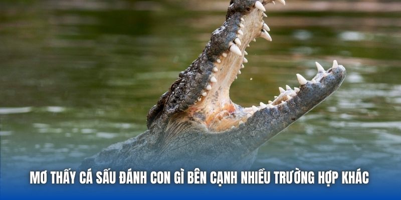 Mơ Thấy Cá Sấu Đánh Con Gì? Cùng Chuyên Gia Giải Mã Chi Tiết - GARICO.INFO