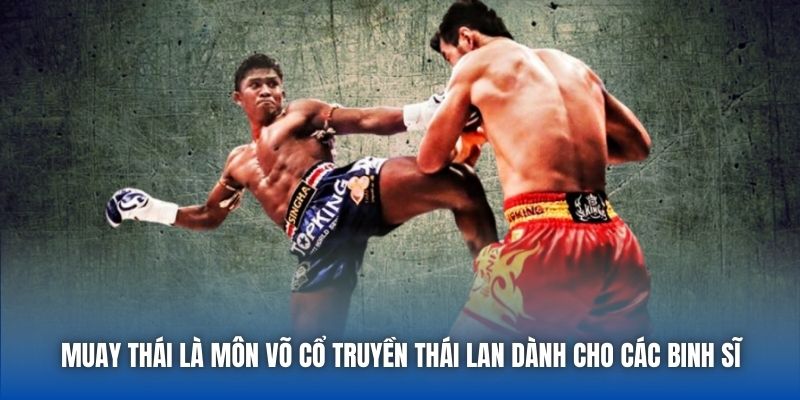 Muay Thái - Môn Thể Thao Không Dành Cho Kẻ Yếu - GARICO.INFO