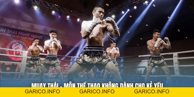 Muay Thái - Môn Thể Thao Không Dành Cho Kẻ Yếu - GARICO.INFO