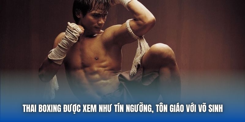 Muay Thái - Môn Thể Thao Không Dành Cho Kẻ Yếu - GARICO.INFO