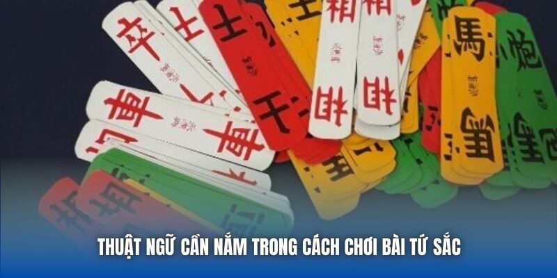 Cách Chơi Bài Tứ Sắc Cơ Bản Một Lính Mới Cần Nắm - GARICO.INFO