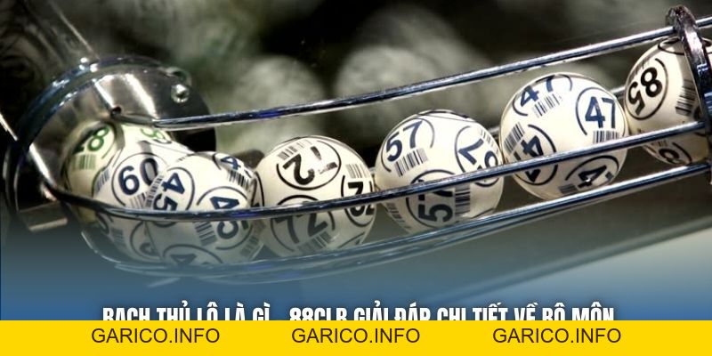 Bạch Thủ Lô Là Gì - 88CLB Giải Đáp Chi Tiết Về Bộ Môn - GARICO.INFO