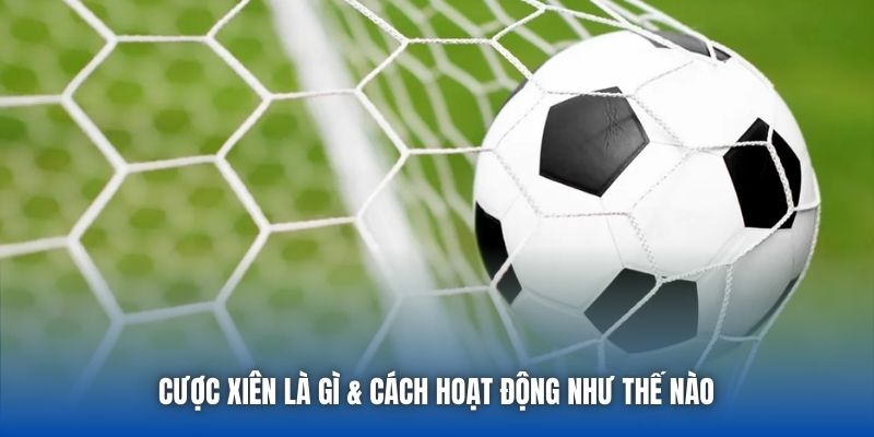 Cược Xiên Là Gì? Toàn Bộ Kiến Thức Quan Trọng Dành Cho Bạn - GARICO.INFO