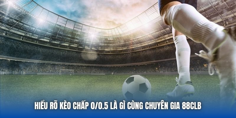 Kèo Chấp 0/0.5 Là Gì? Giải Mã Chi Tiết Về Đồng Banh Nửa Trái - GARICO.INFO