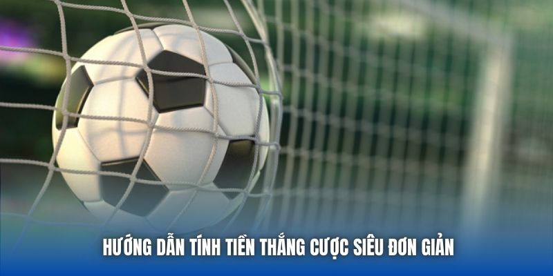 Cược Xiên Là Gì? Toàn Bộ Kiến Thức Quan Trọng Dành Cho Bạn - GARICO.INFO