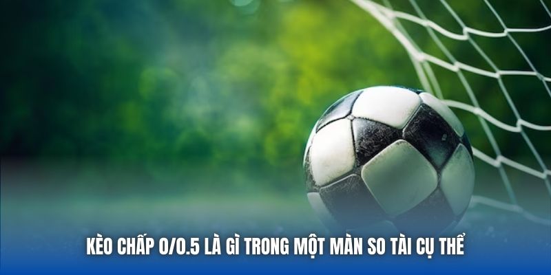 Kèo Chấp 0/0.5 Là Gì? Giải Mã Chi Tiết Về Đồng Banh Nửa Trái - GARICO.INFO