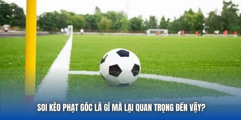Soi Kèo Phạt Góc Là Gì? Có Giúp Bạn Gia Tăng Cơ Hội? - GARICO.INFO