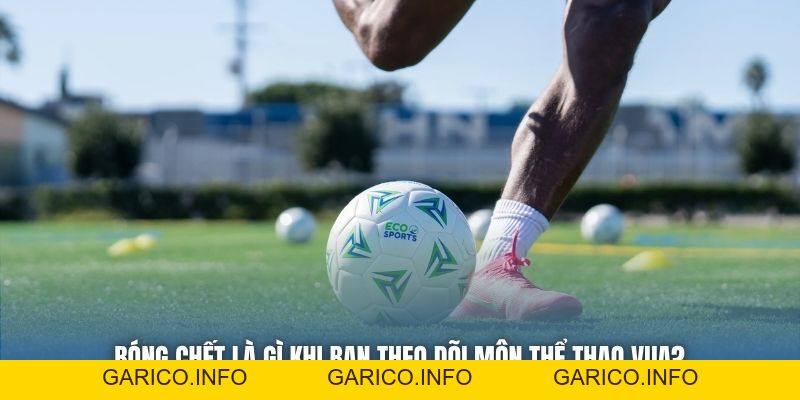 Bóng Chết Là Gì Khi Bạn Theo Dõi Môn Thể Thao Vua? - GARICO.INFO