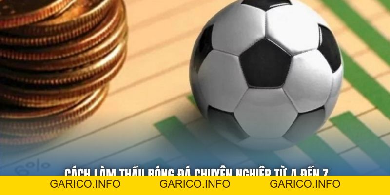 Cách Làm Thầu Bóng Đá Chuyên Nghiệp Từ A Đến Z - GARICO.INFO