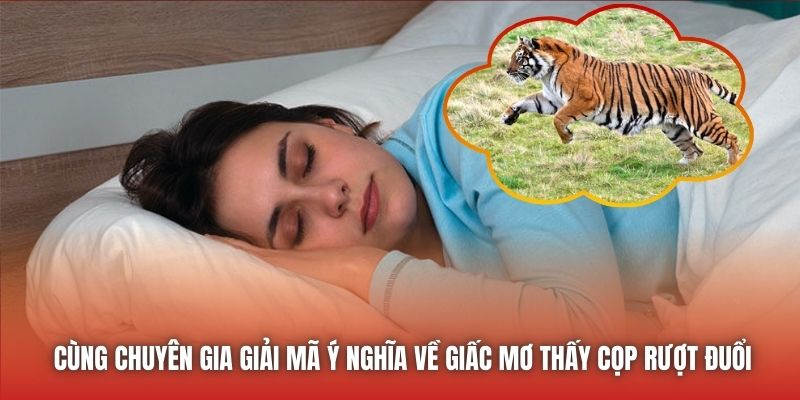 Mơ Thấy Hổ Rượt Đuổi - Ý Nghĩa Chiêm Bao Chi Tiết Nhất - GARICO.INFO