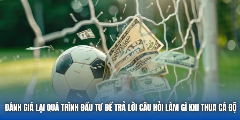 Làm Gì Khi Thua Cá Độ Bóng Đá Để Tìm Lại Chính Mình? - GARICO.INFO