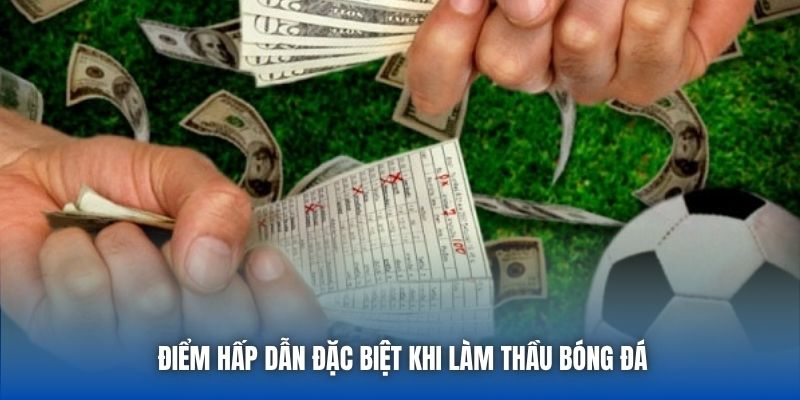 Thầu Bóng Đá Là Gì? Hướng Dẫn Cho Tân Thủ Mới Bắt Đầu - GARICO.INFO
