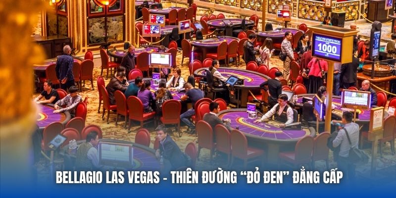 Khám Phá Top 4 Sòng Bạc Nổi Tiếng Trên Thế Giới Cùng 88CLB - GARICO.INFO
