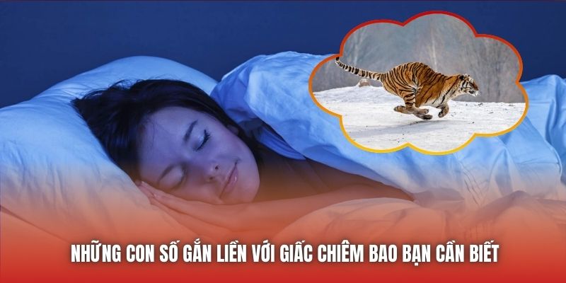 Mơ Thấy Hổ Rượt Đuổi - Ý Nghĩa Chiêm Bao Chi Tiết Nhất - GARICO.INFO