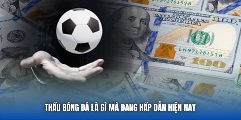 Thầu Bóng Đá Là Gì? Hướng Dẫn Cho Tân Thủ Mới Bắt Đầu - GARICO.INFO
