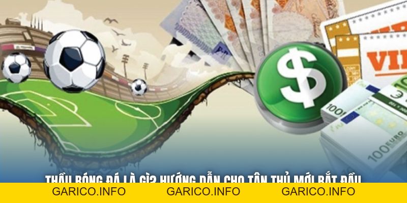 Thầu Bóng Đá Là Gì? Hướng Dẫn Cho Tân Thủ Mới Bắt Đầu - GARICO.INFO